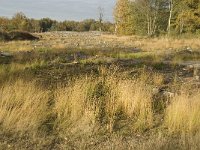 NL, Noord-Brabant, Valkenswaard, De Plateaux 1, Saxifraga-Jan van der Straaten